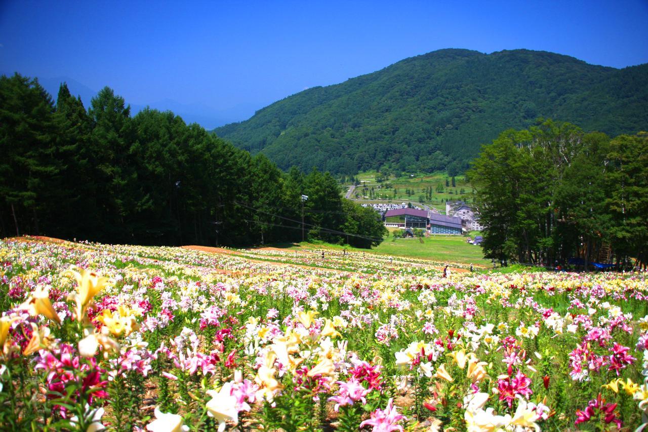 Hotel Harvest Madarao Shinano  Экстерьер фото