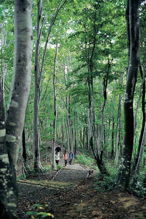 Hotel Harvest Madarao Shinano  Экстерьер фото